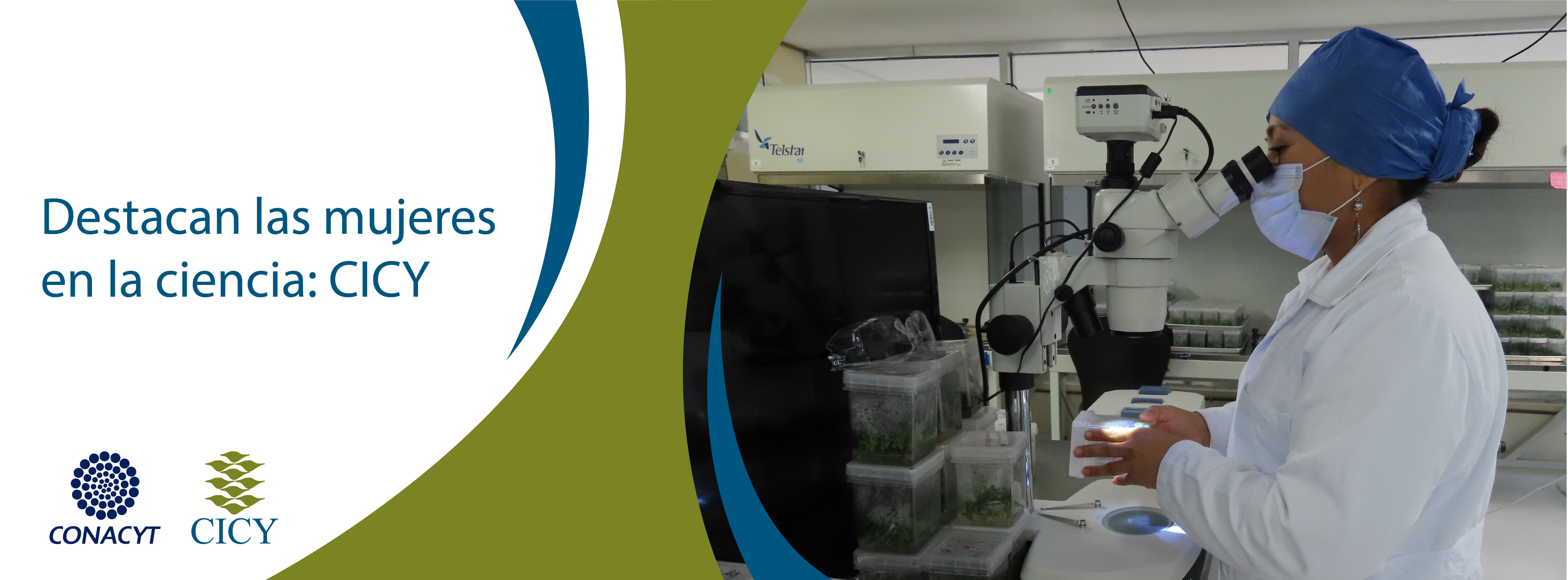 Destacan las mujeres en la ciencia: CICY